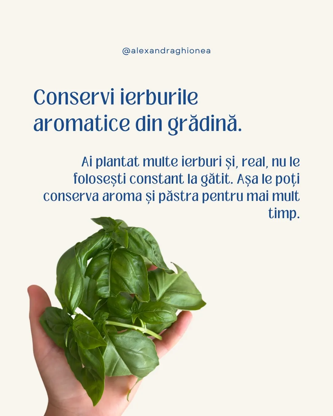 Conservi ierburile