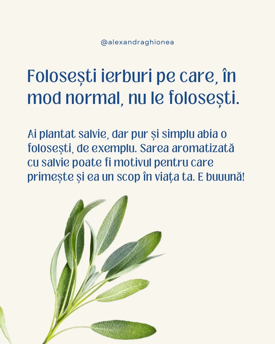 Folosești ierburi pe care, în