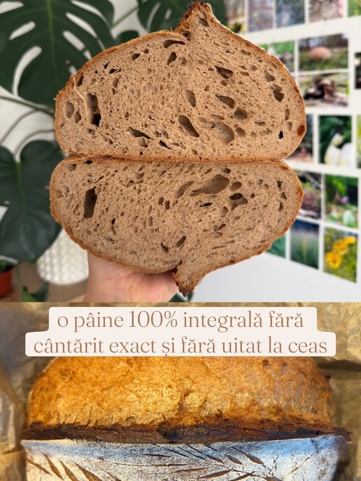 o pâine 100% integrală fără