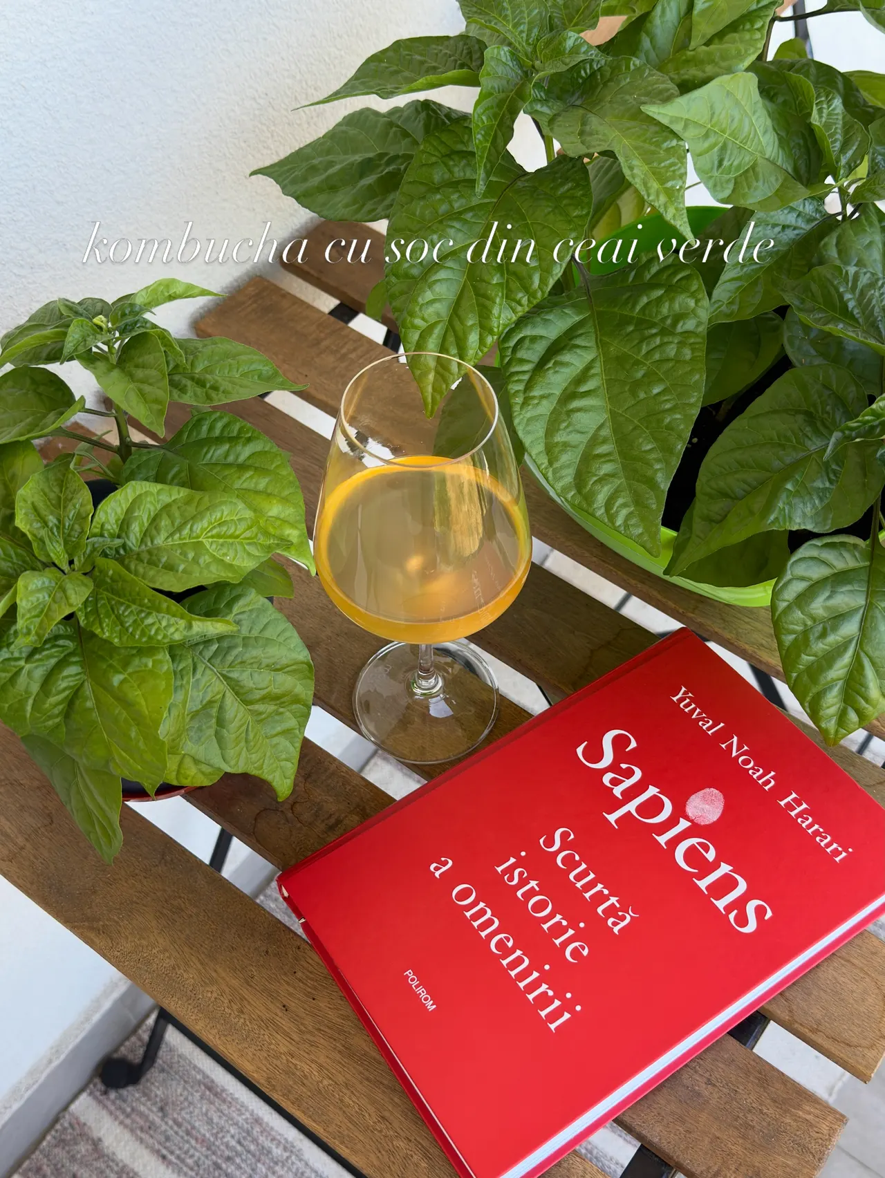 kombucha cu soc din ceai verde