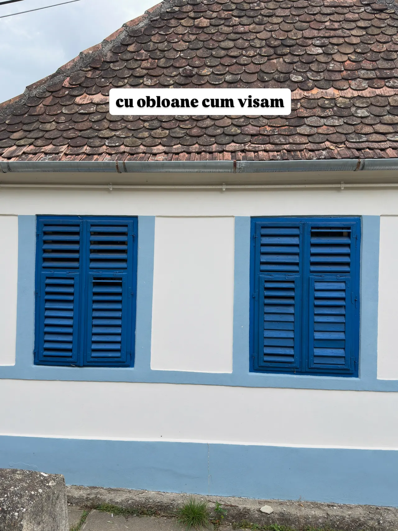 cu obloane cum visam